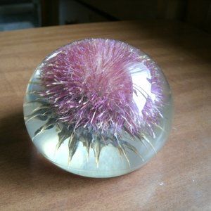 vintage acrylic paper weight.